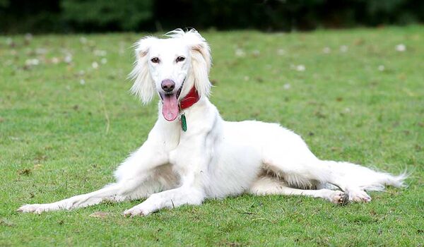 Tia Posing on the Lawn