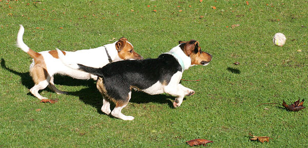 Sally and Jake in Hot Pursuit