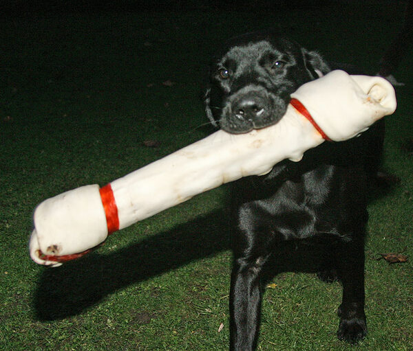 This is almost as big as me!