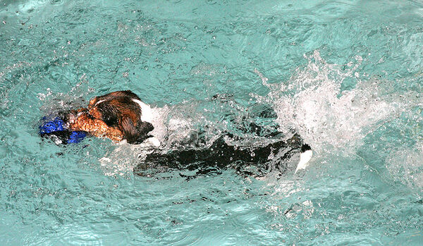 Jake Doing A Belly Flop