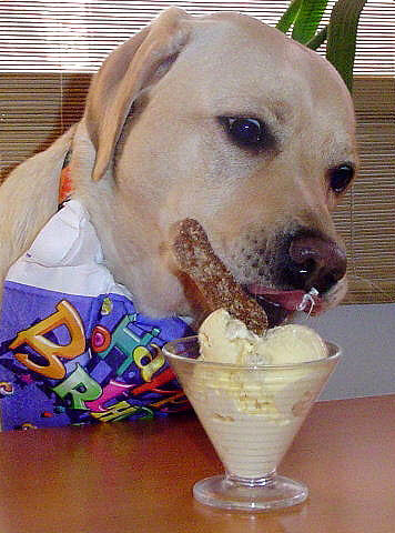 Martha and the Haddock Ice Cream