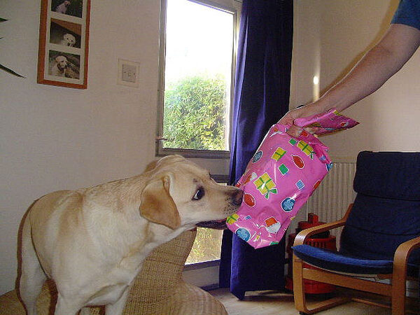 Martha's Birthday