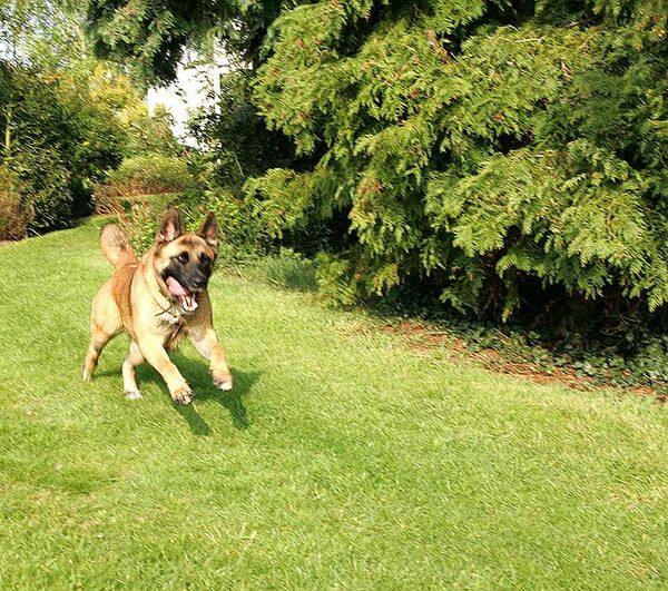 Tiny Running