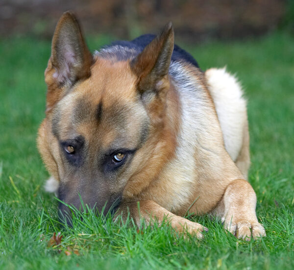 Sasha Being Shy