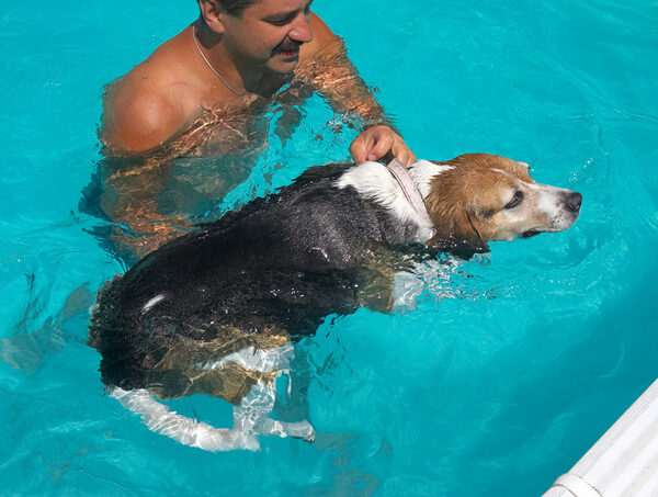 Hattie Swimming for the Side of the Pool