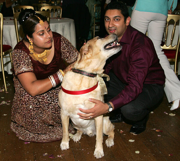 Zac at the Wedding Reception