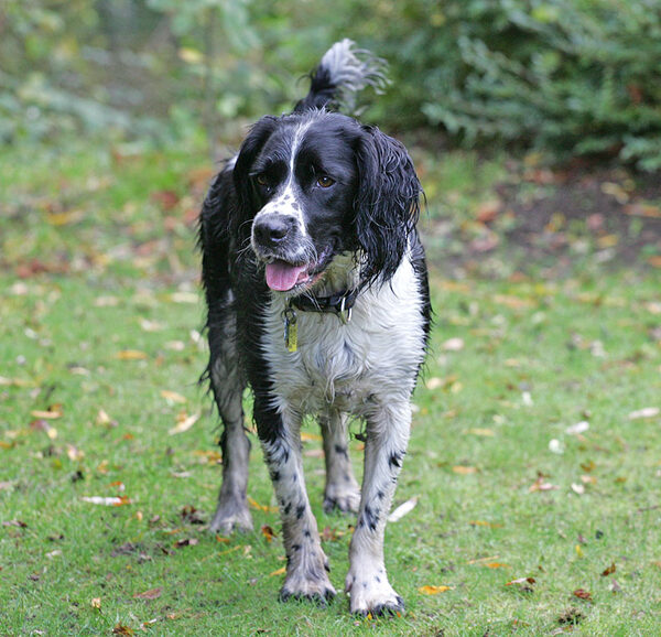 Jake looking pensive