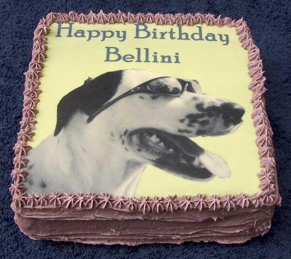 Bellini's Cake