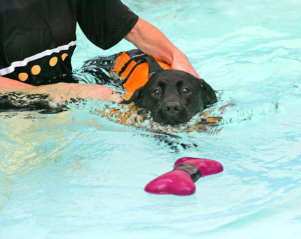 Billy Fetching -- In The Pool