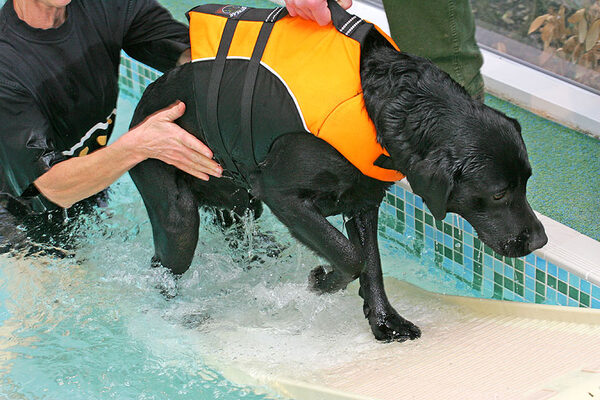 Billy Leaving the Pool