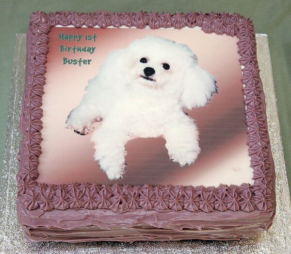 Happy Birthday Buster