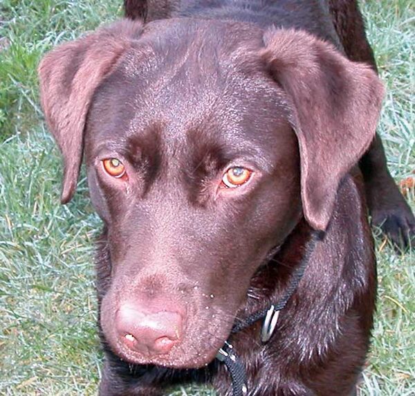 Tess - January 23, 2005