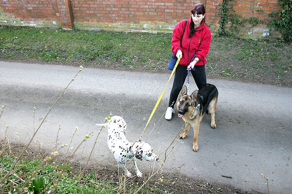 Marjorie Walking Cookie and Paulo