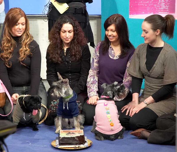 A Pampered Pooch Party on ITV's "This Morning"