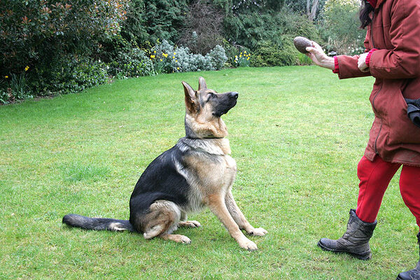 Paulo Waits For His Easter Egg