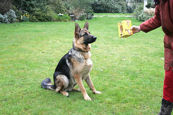Paulo Awaits the Easter Egg