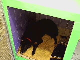 Jet Sleeping