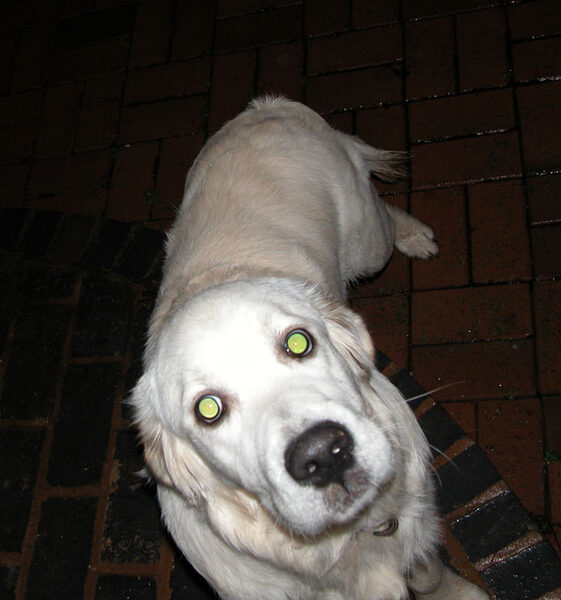 Joe, Outside, At Night