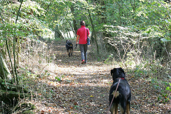 Ronan and Marjorie Take The Lead