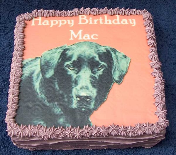 Mac's Cake