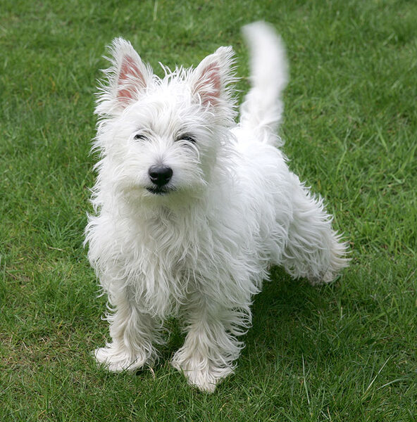 Maisy Posing