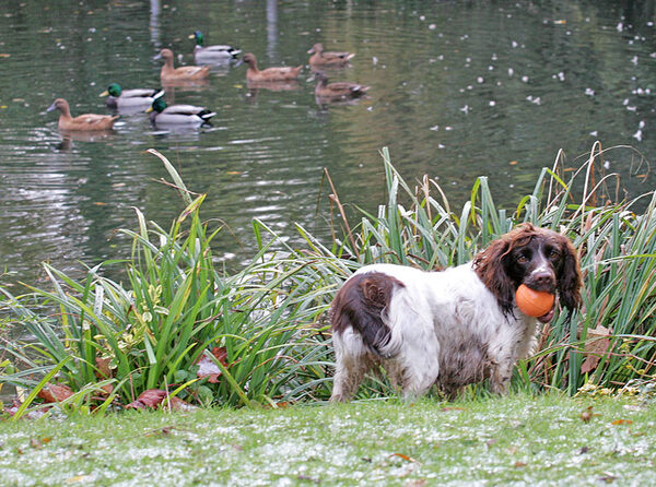 Meg Not Looking at the Ducks