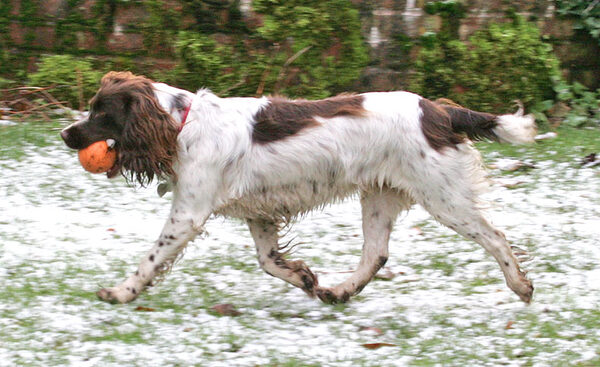 Meg Running in the "Snow"