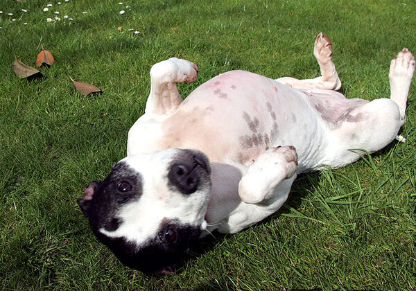 Maisie Having A Nice Roll