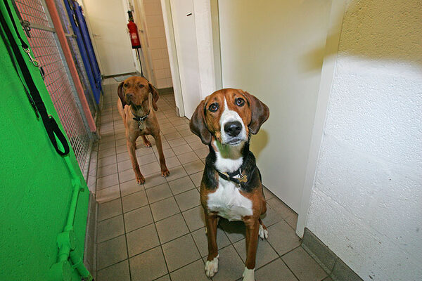 Pippa and Jessie
