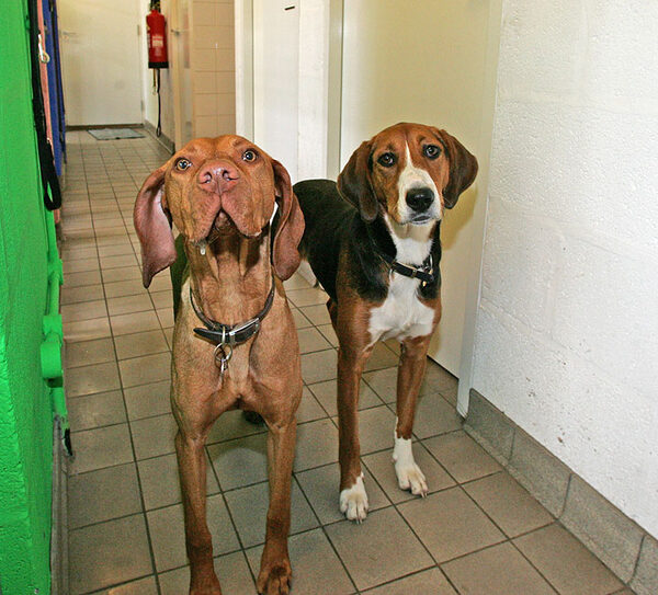 Pippa and Jessie