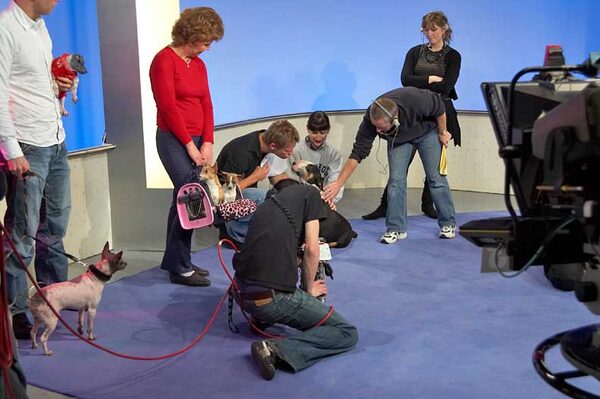 Marjorie and Tapa on ITV "This Morning"