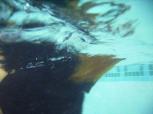 Ronan Swimming
