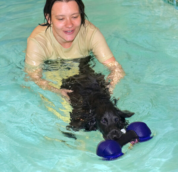 Frankie Swimming for the Floating Toy