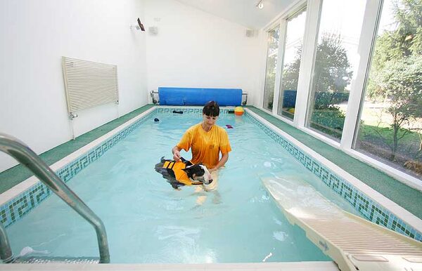 Tapa Having A Swim