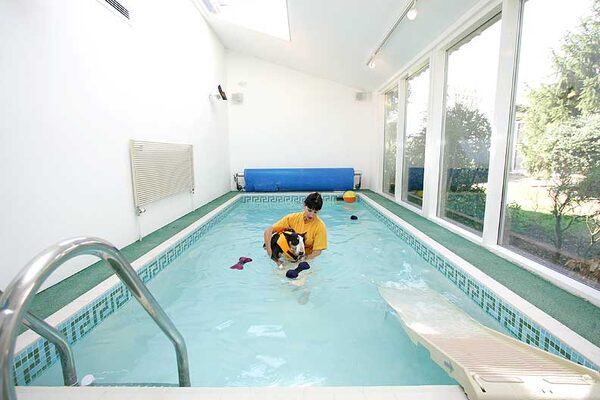 Tapa Having A Swim