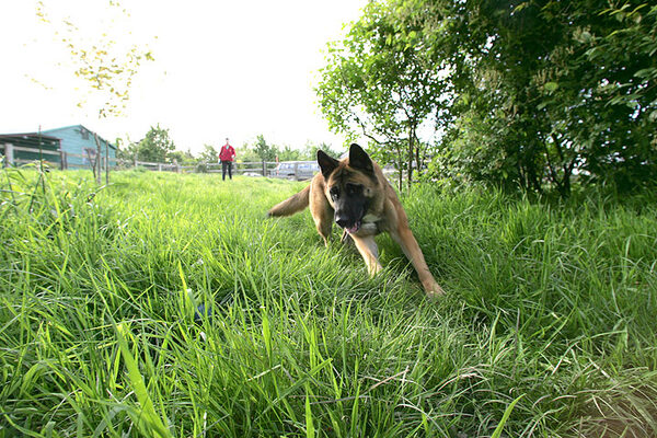 Tiny Playing Catch
