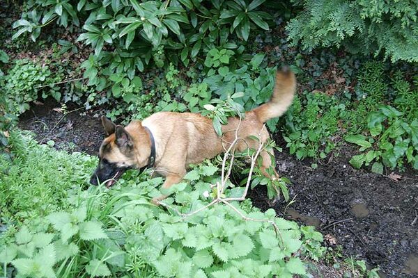 Tiny Finds Mud