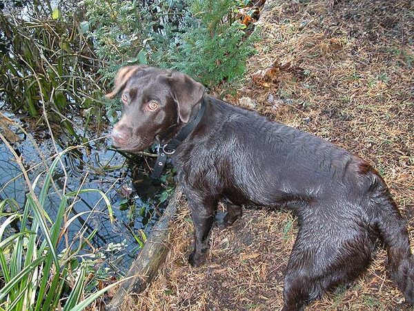 Tess - You Can See What She's Thinking