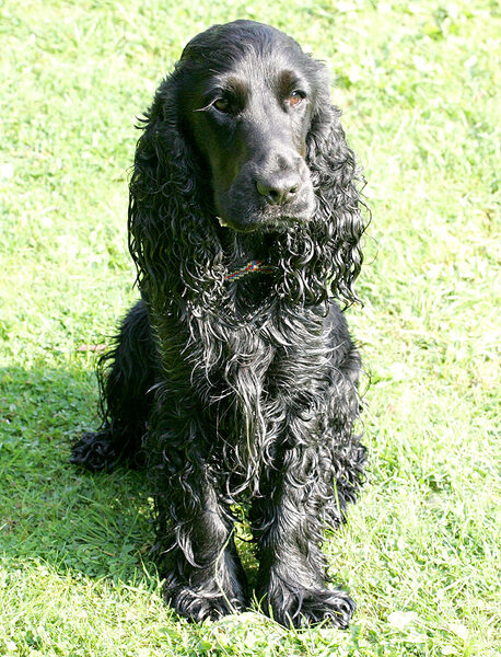 Woody Looking Cute