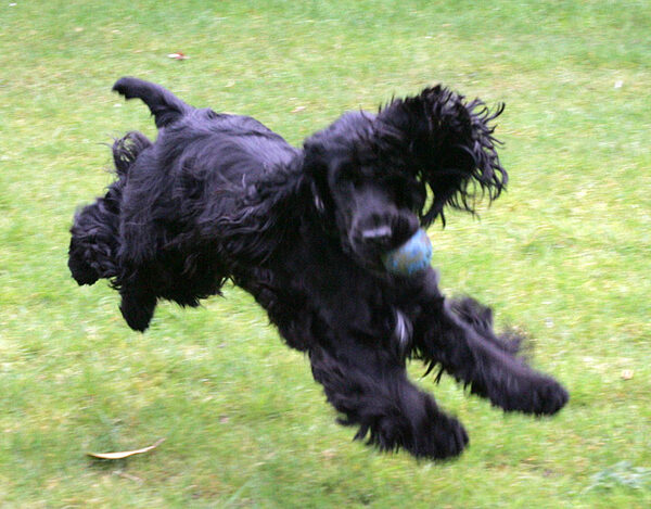 Woody in Mid-Air