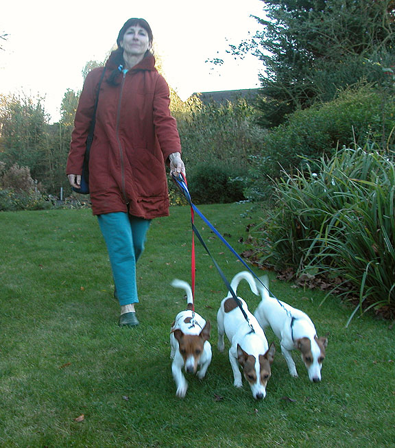 Sunday Afternoon Walk