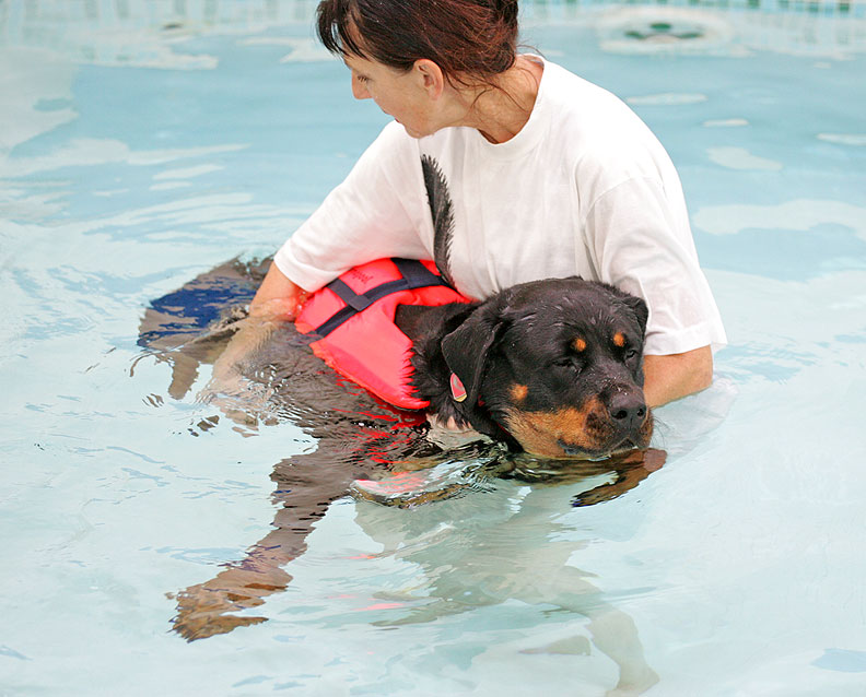 Missy Enjoying Her Afternoon Swim