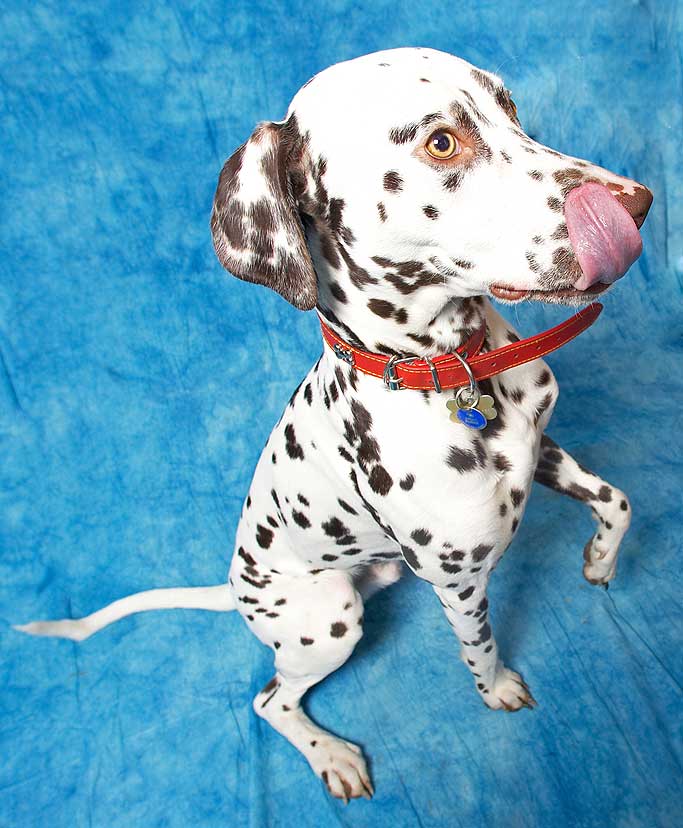Juno