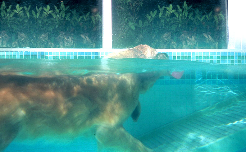 Spice Heading Up the PetRamp