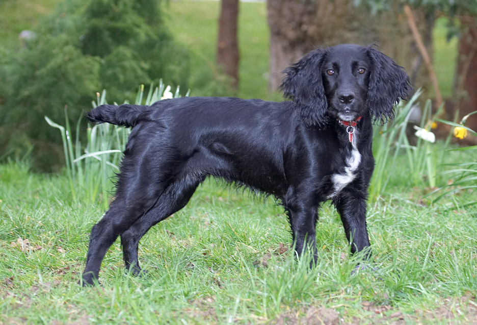 OK, let's have some action