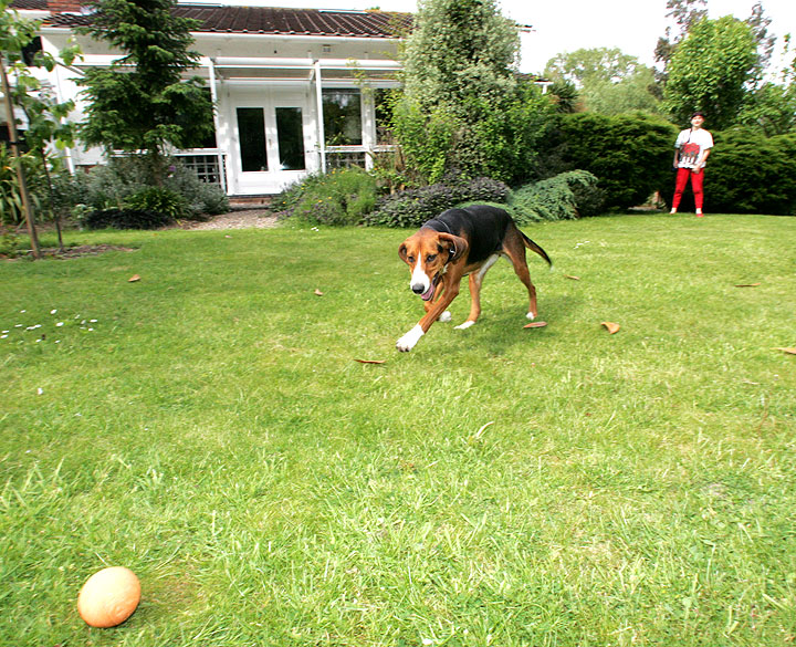 Marjorie - Ball - Jessie (not in that order)